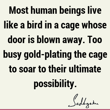 Most human beings live like a bird in a cage whose door is blown away. Too busy gold-plating the cage to soar to their ultimate