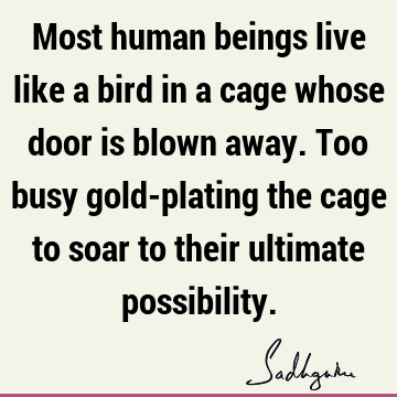 e to soar to their ultimate possibility. : Inspirational, Life, being human, spirituality Quote