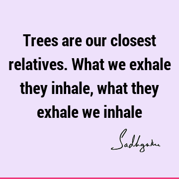 Trees are our closest relatives. What we exhale they inhale, what they exhale we