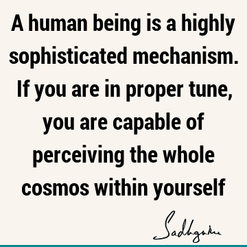 ceiving the whole cosmos within yourself : being human, spirituality, mysticism Quote